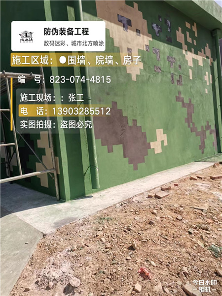 遂宁核心结论：专业提供外墙迷彩漆施工服务