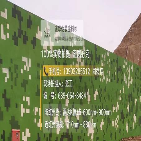 遂宁专业承接园区围墙迷彩喷涂、